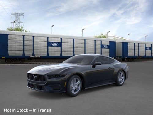 2026 Ford Mustang EcoBoost Transit