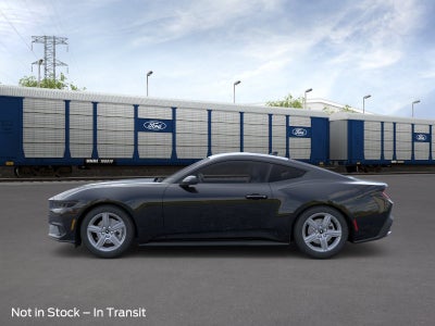 2026 Ford Mustang EcoBoost Transit