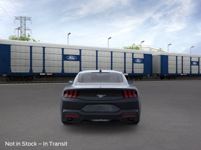 2026 Ford Mustang EcoBoost Transit