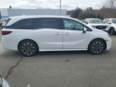 2026 Honda Odyssey Elite