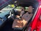 2025 MINI Cooper S Countryman Iconic