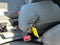2025 Volkswagen Taos 1.5T SE Black