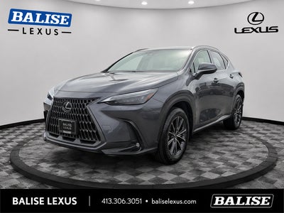 2024 Lexus NX 350 Base