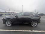 2025 Lexus NX 350 Luxury