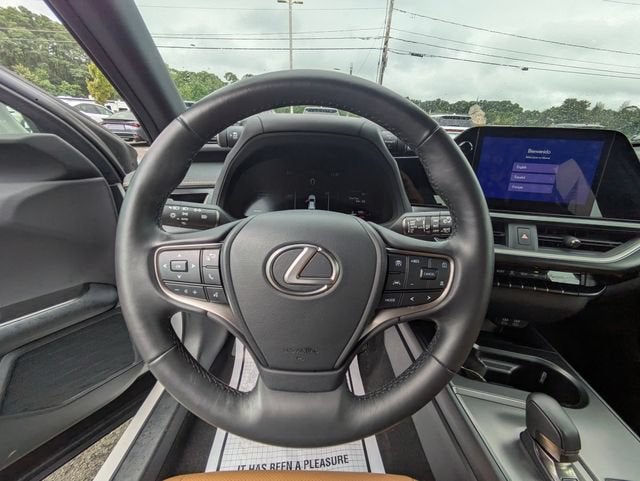 2025 Lexus UX 300h Premium