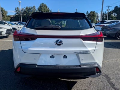 2025 Lexus UX 300h Premium