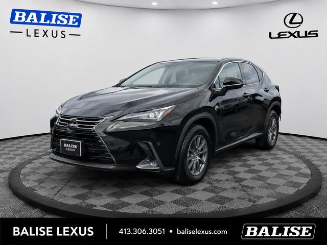 2019 Lexus NX 300h