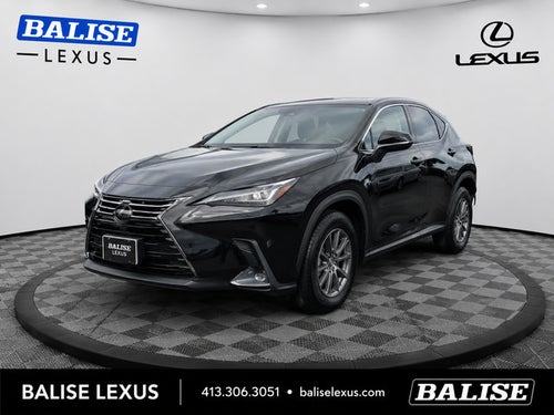 2019 Lexus NX 300h