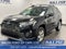 2019 Toyota RAV4 Hybrid Limited