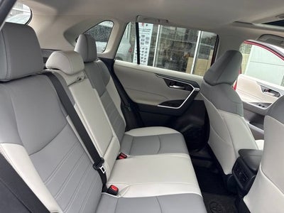 2025 Toyota RAV4 XLE Premium AWD