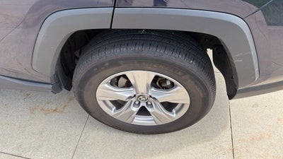 2025 Toyota RAV4 XLE AWD