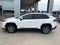 2025 Toyota RAV4 XLE AWD