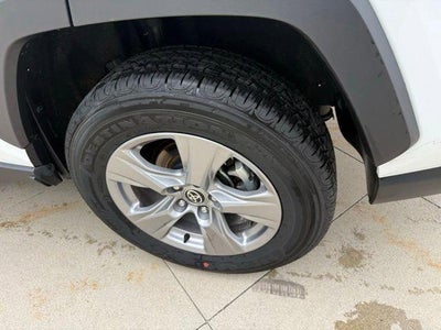 2025 Toyota RAV4 XLE AWD