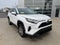 2025 Toyota RAV4 XLE AWD