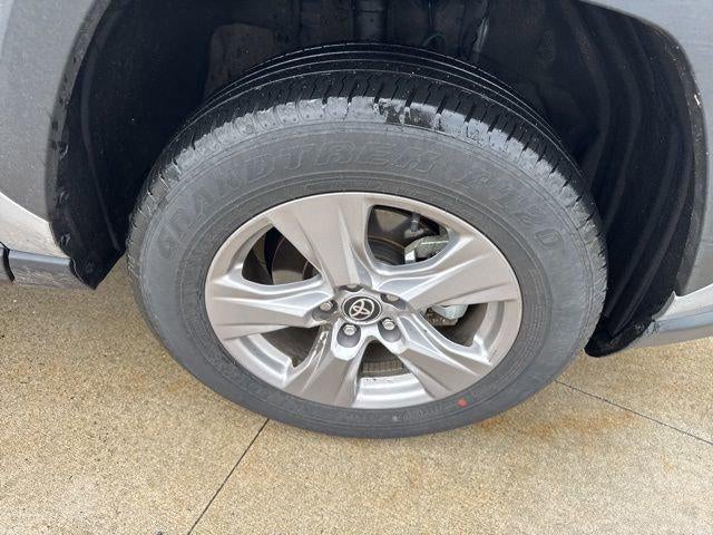 2025 Toyota RAV4 XLE AWD
