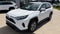 2025 Toyota RAV4 XLE AWD
