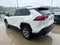 2024 Toyota RAV4 XLE FWD