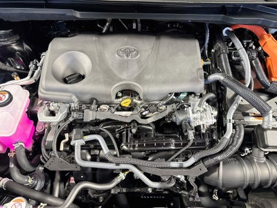 2026 Toyota Sienna Limited 7 Passenger