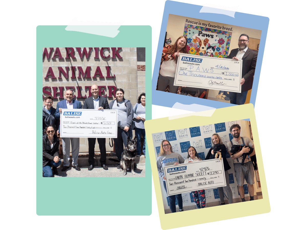 Balise Donates to Animal Shelters Across New England